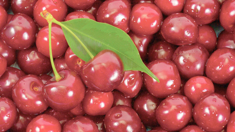 Quả sơ ri và quả cherry loại nào giàu vitamin hơn?