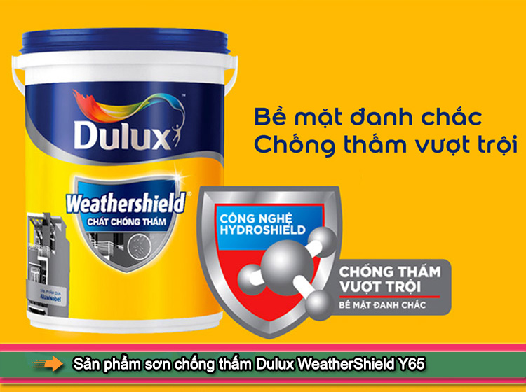 Hướng dẫn cách sử dụng sơn chống thấm Dulux hiệu quả