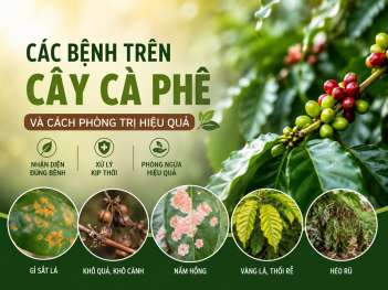 Kiến thức