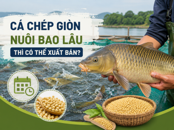 Kiến thức