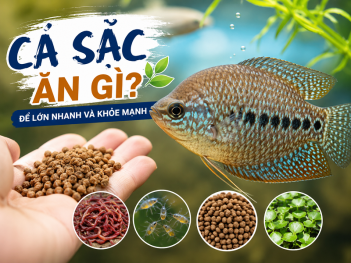Tác giả Quách Diệu Ngọc Yến