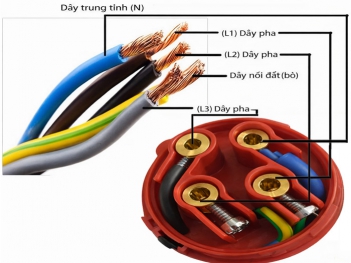 Cách đấu ổ cắm điện 3 pha 4 chấu đúng chuẩn kỹ thuật