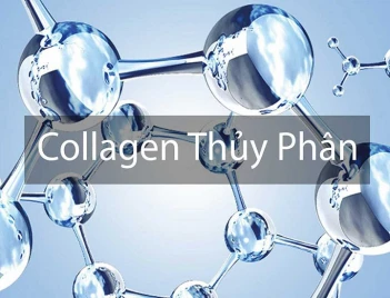Collagen thủy phân là gì? Lợi ích, cách sử dụng hiệu quả - Doanh nhân đương thời