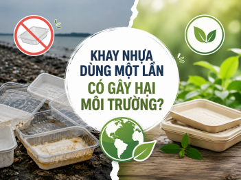 Khay nhựa dùng một lần có thật sự gây hại môi trường?