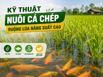 Kiến thức