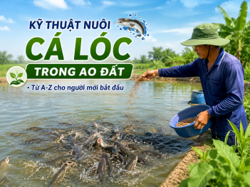 Kiến thức