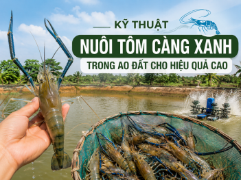 Kiến thức