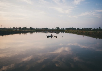 Kỹ thuật nuôi cá lóc trong ao đất ít bệnh dễ áp dụng - Doanh nhân đương thời