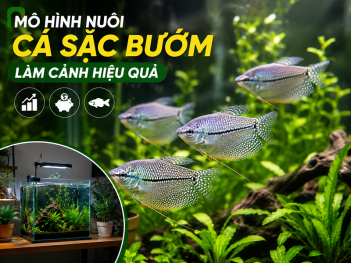 Kiến thức