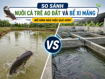 Kiến thức