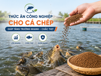 Kiến thức