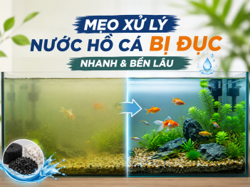 Kiến thức